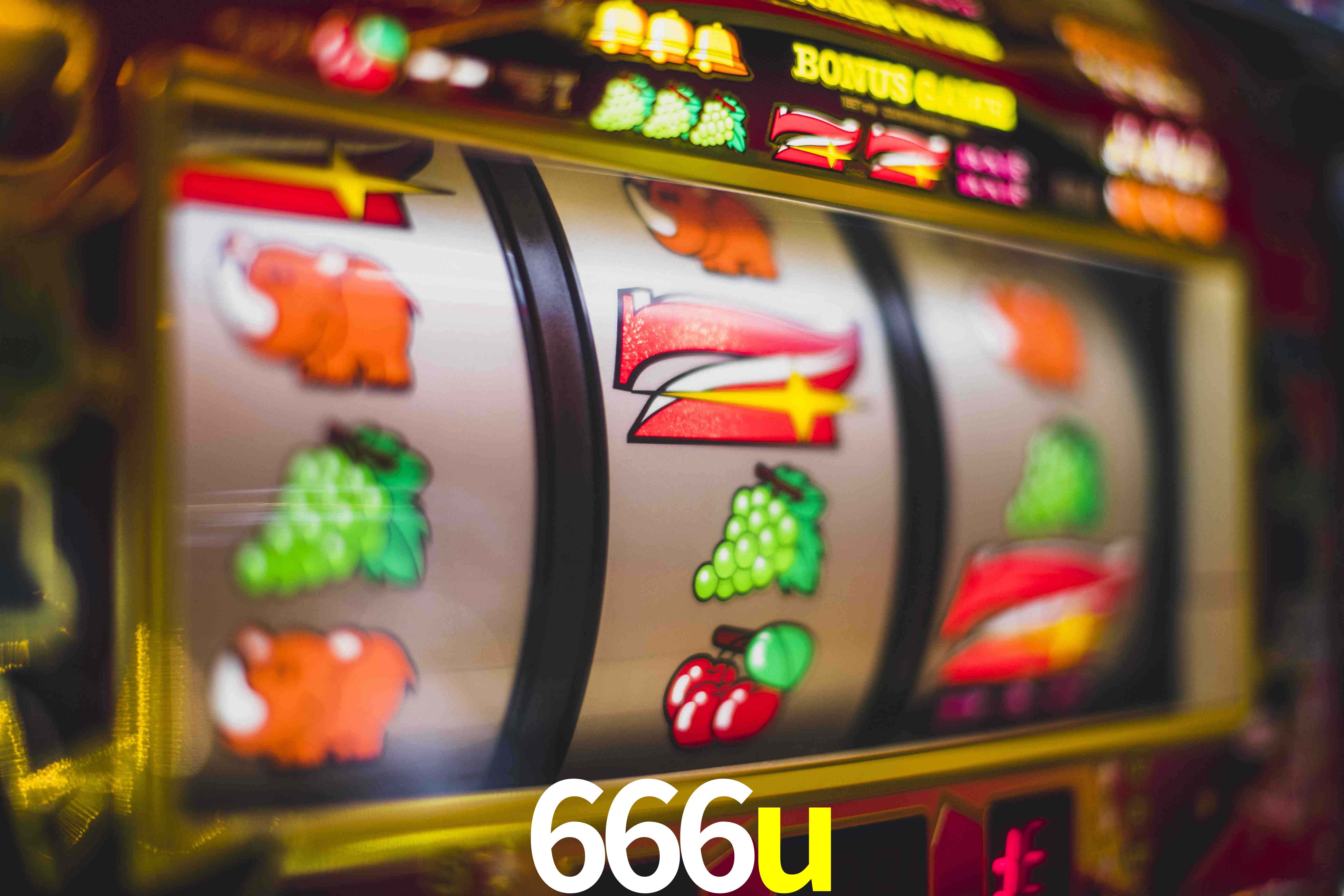 Sports Statistics 666u